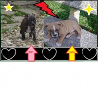 Helsy & Sultan bb